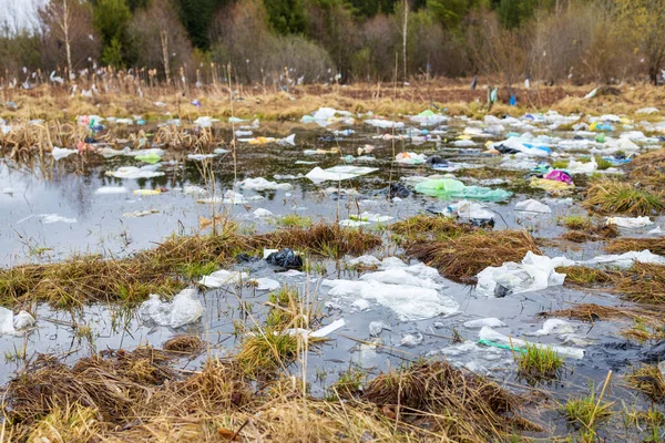 Вода Жовта Трава Якій Багато Пластикових Пакетів Інших Сміття Забруднення — стокове фото