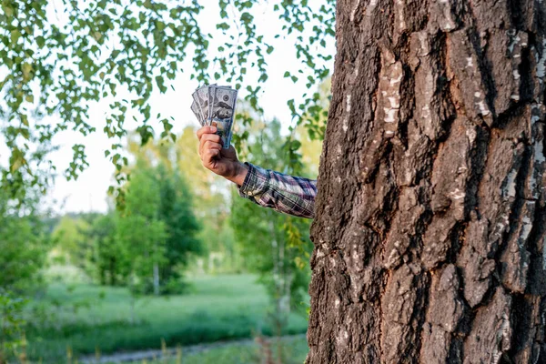 Uma Mão Destaca Trás Uma Árvore Oferece Dinheiro Dinheiro Rápido — Fotografia de Stock