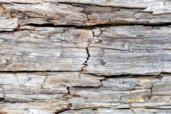 Texture Old Wood Cracks Old Wood Surface — Stock Photo, Image