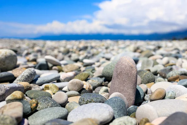 Stone Pebble Beach Stone Stones Focus One Stone — Stock Photo, Image