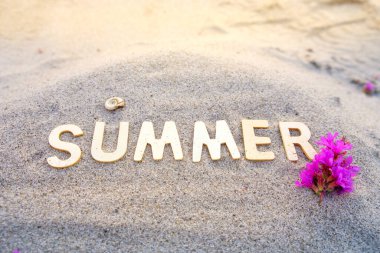 Yazı kumun üzerine yaz, çiçek ve kabuk kelimenin yanına. yaz mevsimi