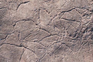 Çatlaklar ve çıkıntılarda gri doku. Eski bitumen kurudu