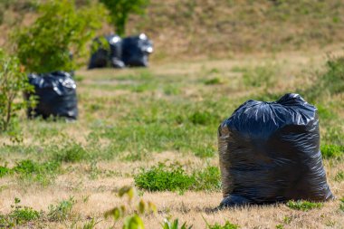 Sahada siyah çöp torbaları, parkta çöp toplama