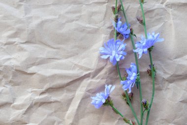 Kırışmış kağıt üzerinde leylak çiçekleri. Yazı ve uzay dekorasyonu için bitkisel dekorasyon
