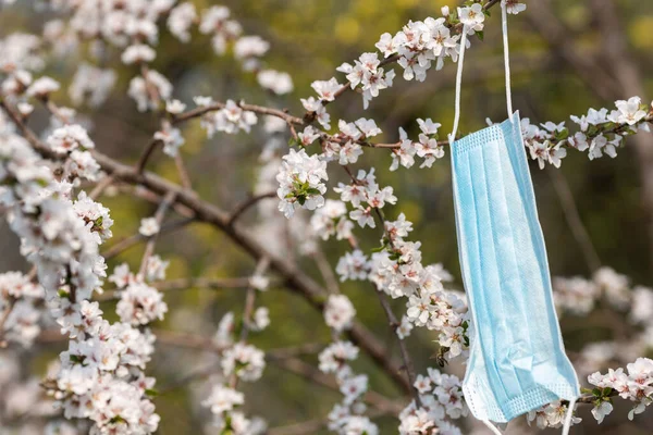 Uma Máscara Médica Pendura Ramo Flores Cereja Primavera Jardim Remédios Fotos De Bancos De Imagens