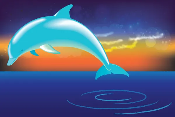 Dolphin jumping out of water — Stock Vector