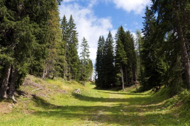 Adamello doğal park