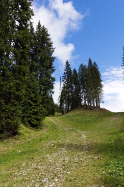Adamello doğal park