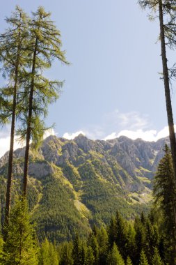 Adamello doğal park