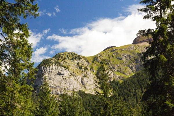 Adamello naturpark — Stockfoto