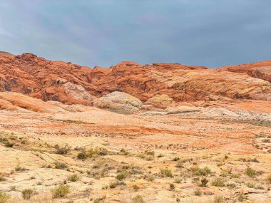 Amerika 'daki Red Rock State Parkı' nın çöl manzarası.