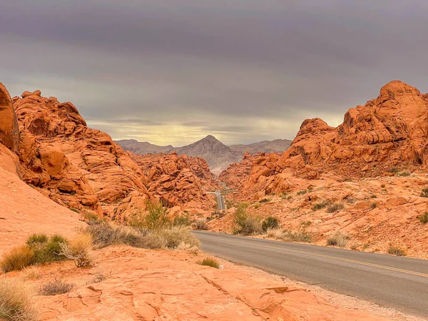 Amerika 'daki Red Rock State Parkı' nın çöl manzarası.