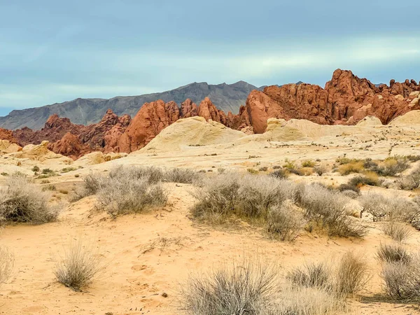 Amerika 'daki Red Rock State Parkı' nın çöl manzarası.