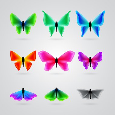 farklı renkli kelebek dizi