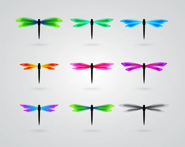 Collection de papillon de différentes couleurs — Image vectorielle