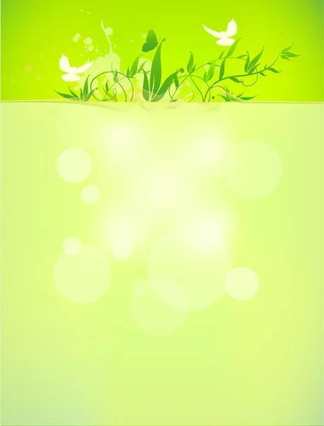 Bio design conceito eco friendly para banner floral de verão — Vetor de Stock