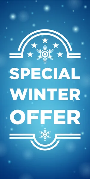 Winter sale special offer — Stock Vector