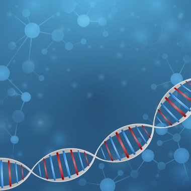 DNA zinciri