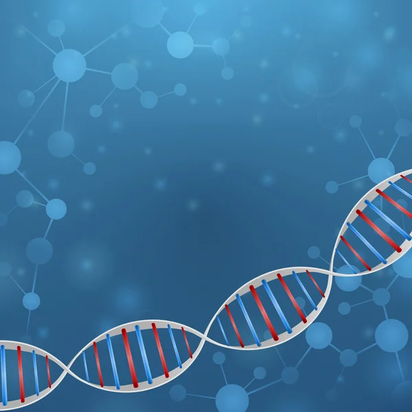 Chaîne ADN — Image vectorielle