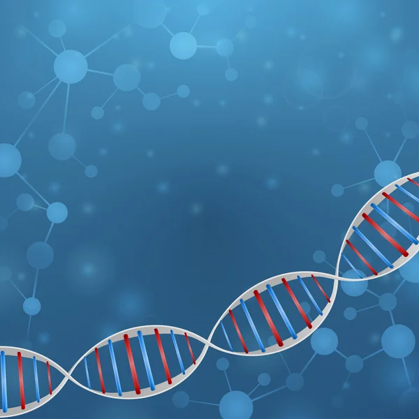 Cadena ADN — Archivo Imágenes Vectoriales
