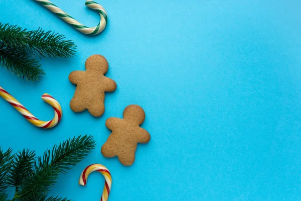 คุกกี้ขนมปังขิงคริสต์มาสในรูปร่างของผู้ชายที่มีอมยิ้มและกิ่งก้านมะพร้าวบนพื้นหลังสีฟ้า, copyspace — ภาพถ่ายสต็อก