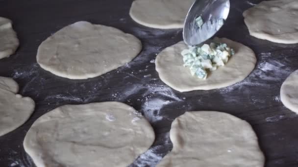 Prozess der Zubereitung von Kuchen mit Ei und Zwiebel — Stockvideo