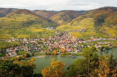 Weissenkirchen Wachau Austria in autumn colored leaves and vineyards on a foggy day clipart