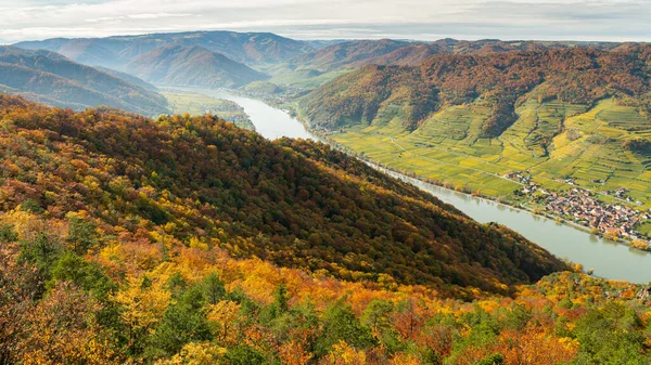 Wachau Austria Valley Sunny Day Autumn Colored Leaves — Stock Photo, Image