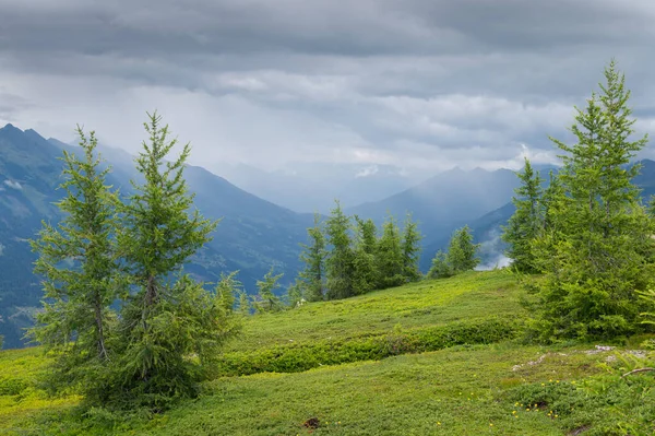 Pastos Árboles Cima Una Montaña Acercándose Tormenta Verano Ederplan Osttirol —  Fotos de Stock