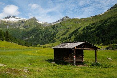 Alplerdeki eski ahşap ev, yazın güneşli bir gün, Doğu Tyrol (Avusturya))