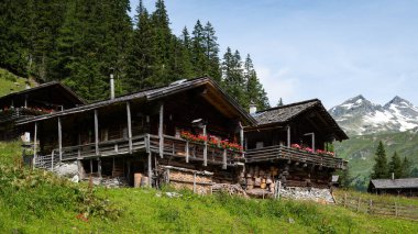 Alplerdeki eski ahşap evler, yazın güneşli bir gün, Doğu Tyrol (Avusturya))