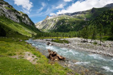 Yazın güneşli bir günde, Dorfertal Osttirol Avusturya Avusturya Alpleri'nde Vadisi