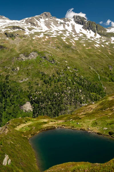 Piccolo Stagno Nelle Alpi Austriache Vicino Grossvenediger Giornata Sole Estate — Foto Stock