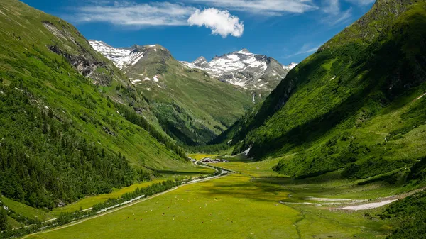 Fiume Ghiacciaio Nelle Alpi Austriache Vicino Grossvenediger Estate Cielo Blu — Foto Stock