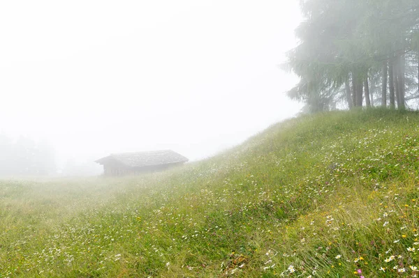 Old Small Wooden House Alps Misty Day Summer East Tyrol — Stock Photo, Image