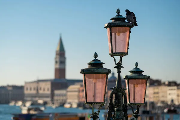 Linternas Frente Palacio Doge Campanile Venecia Italia — Foto de Stock