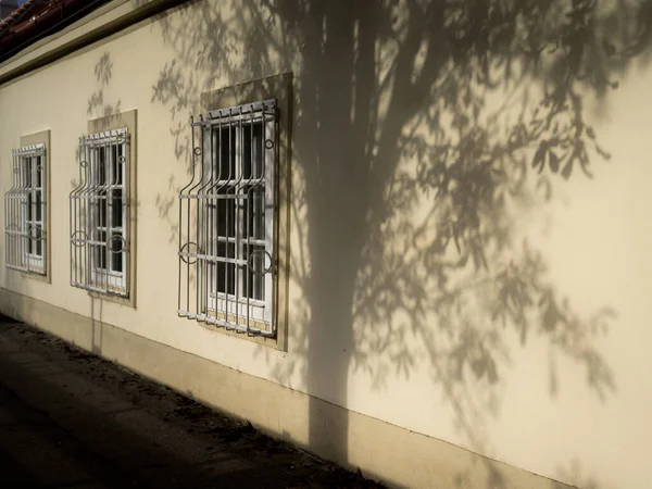 Σκιά Δέντρου Στον Τοίχο Παλιού Σπιτιού Παράθυρα Ηλιόλουστη Μέρα Φθινόπωρο — Φωτογραφία Αρχείου