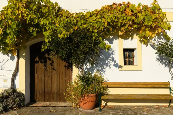 Weinbau Einem Haus Weißenkirchen Wachau Österreich Einem Sonnigen Herbsttag Bank — Stockfoto