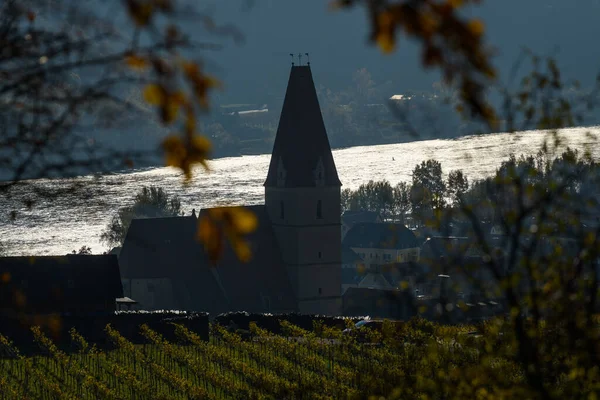 Weissenkirchen Wachau Oostenrijk Herfst Gekleurde Bladeren Wijngaarden Een Zonnige Dag — Stockfoto