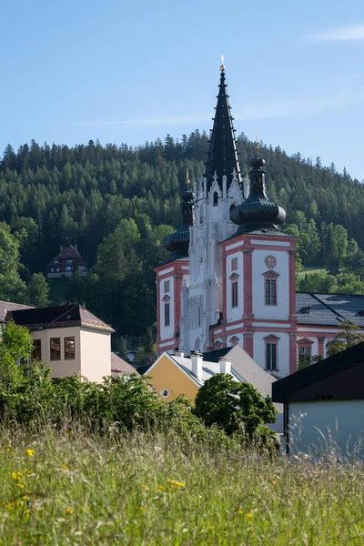 Basiliek Van Geboorte Van Maagd Maria Mariazell Oostenrijk Mistige Ochtend — Stockfoto