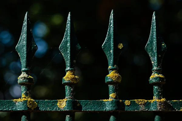Detail Beautifully Decorated Green Fence Park Nancy France Sunny Day — Stok fotoğraf