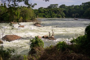 Uganda 'daki Victoria Nil' in Itanda Şelalesi, Mayıs ayının güneşli bir günü.