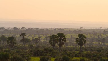 Murchonson Falls Ulusal Parkı 'nda savananın üzerinde destansı bir gün doğumu.