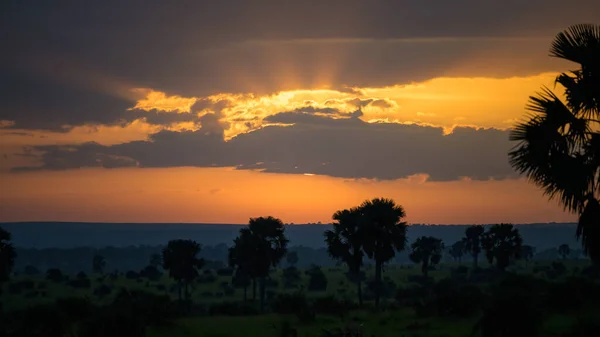 Nascer Sol Épico Sobre Savana Parque Nacional Murchonson Falls Uganda — Fotografia de Stock