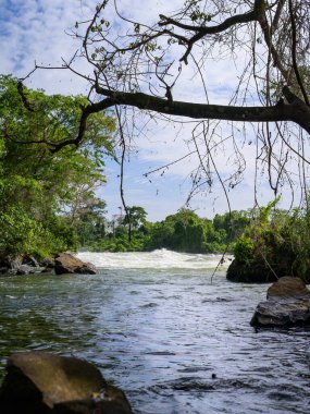 Uganda 'daki Victoria Nil' in Itanda Şelalesi, Mayıs ayının güneşli bir günü.