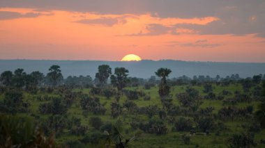 Murchonson Falls Ulusal Parkı 'nda savananın üzerinde destansı bir gün doğumu.