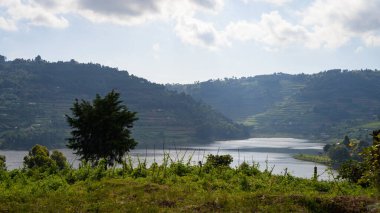 Lake Bunyonyi (Uganda) on a cloudy day in June