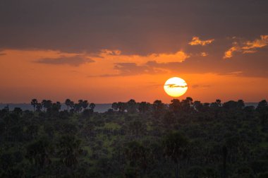 Epic sunrise over savanna in Murchinson Falls National Park Uganda