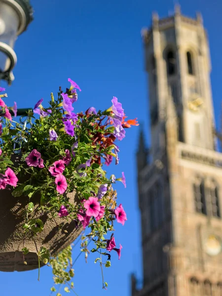 Colorful Flowers Front Belfry Bruges Sunny Day Summer Blue Sky — Foto Stock