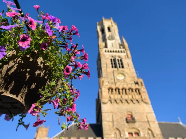 Colorful Flowers Front Belfry Bruges Sunny Day Summer Blue Sky — Zdjęcie stockowe
